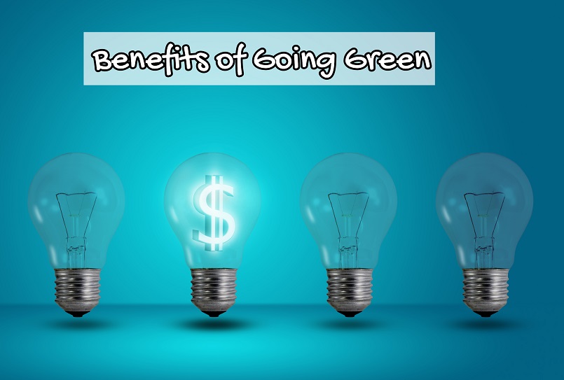 Illustration of saving money using light bulbs