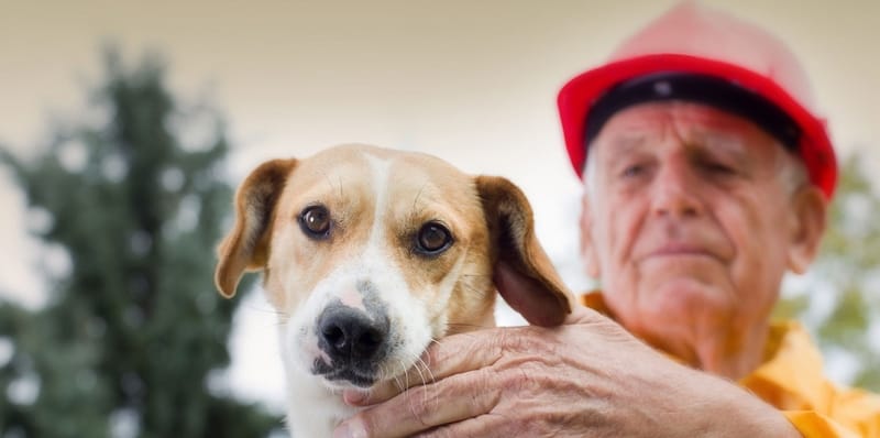 old man holding dog