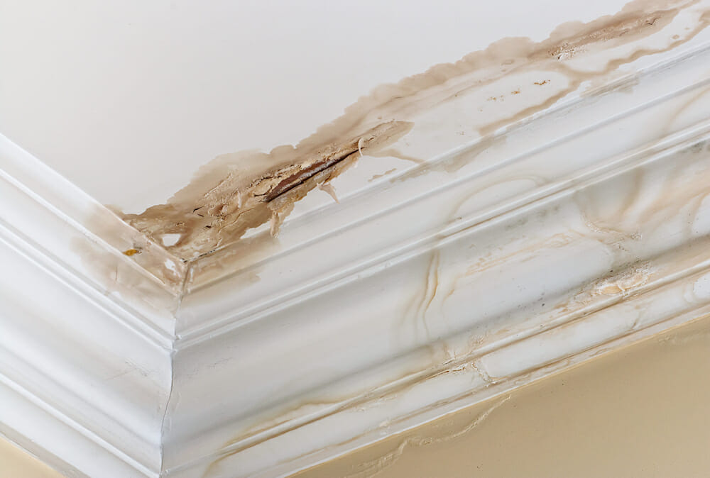 What to Do and Who to Call for a Water-Damaged Ceiling from Leaks (3)